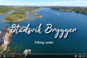 Stadsvik_Brygger_video
